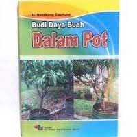 Image of Budidaya Buah Dalam Pot