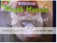 Image of Mari kita amati Wajah Mamalia