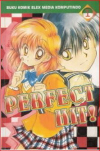 Image of PERFECT HIT